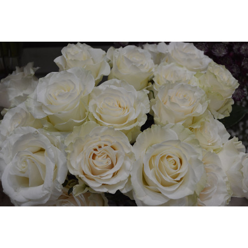 Bouquet de Roses