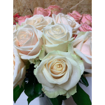 Bouquet de Roses